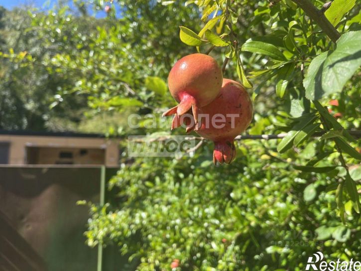 2-комн квартира улица Судоремонтников, 28/1,  д. 28/1