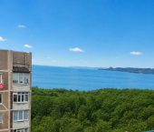 2-комн, 58кв м, этаж 9/9 ул Московских строителей, 10А
